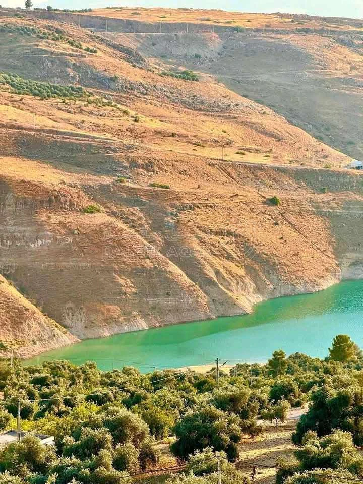 مزرعة/شاليه في عجلون كفرنجه مقابل سد كفرنجه قرب راجب - 300,000 دأ - صورة 1