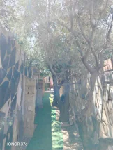 فيلا/منزل في الجيزة الحي الغربي - 35,000 دأ - صورة NaN