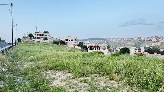 أرض - قطعه ارض على شارع اربد عمان الدولي واجهة 60 م  - 95000 دأ