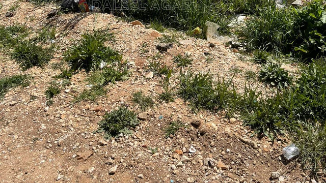 أرض في كيلو فقط عن طريق المطار - 139,000 دأ - صورة NaN