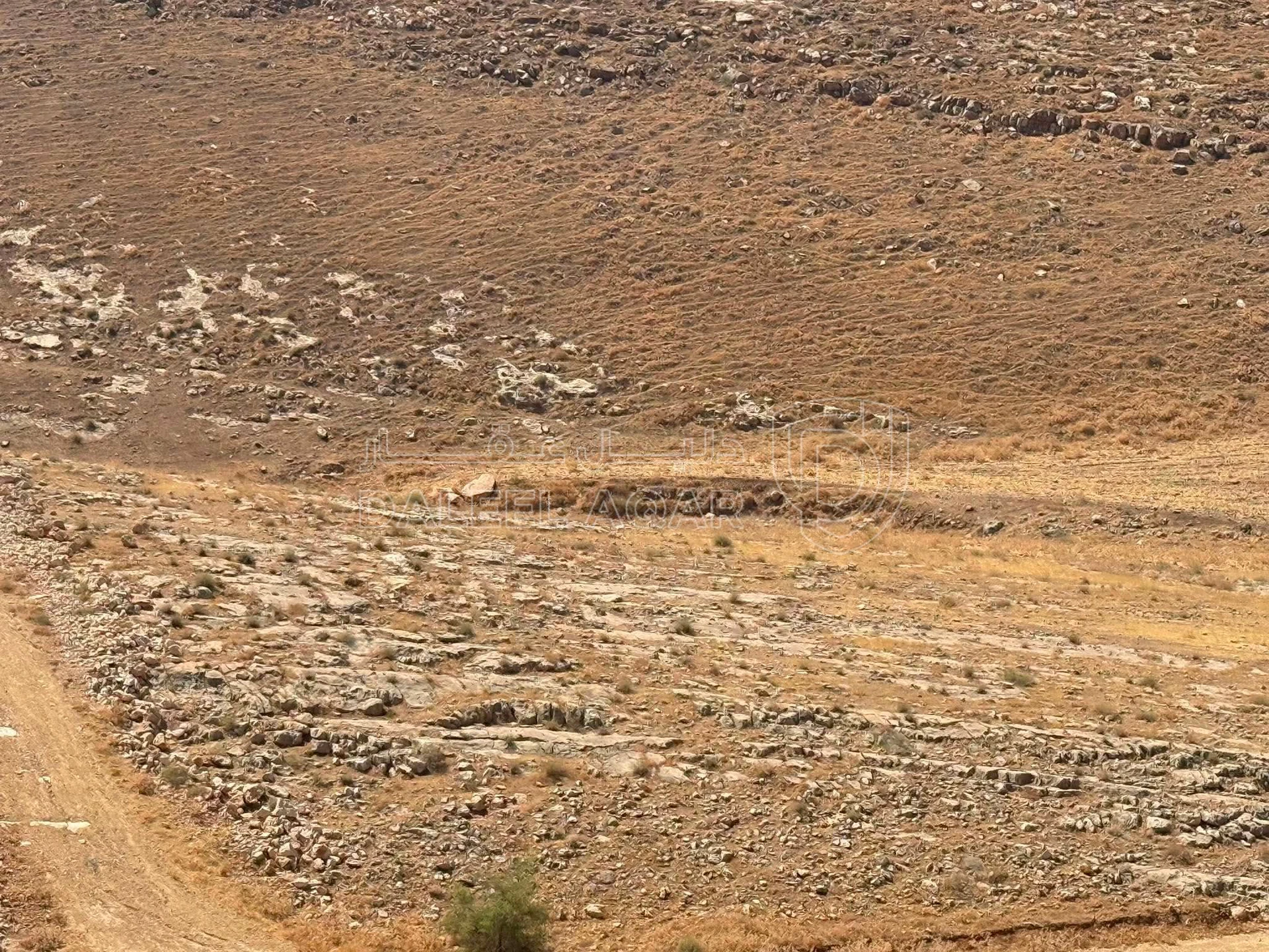 أرض في منطقة بلال غرب عمان بالقرب من بدر الجديدة  - 70,000 دأ - صورة 1