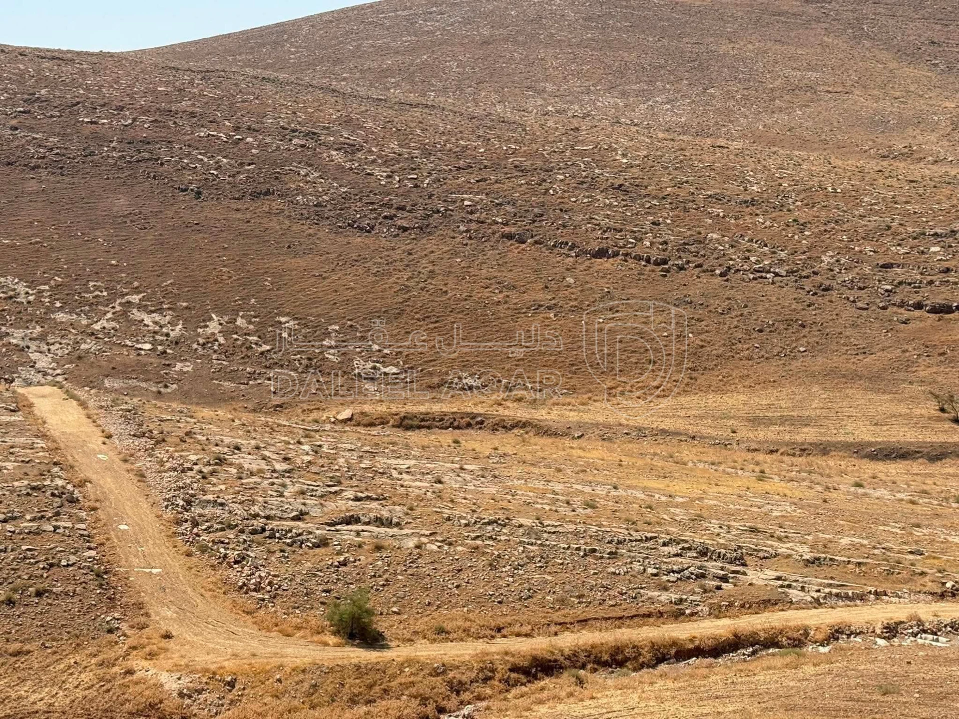 أرض في منطقة بلال غرب عمان بالقرب من بدر الجديدة  - 70,000 دأ - صورة 1