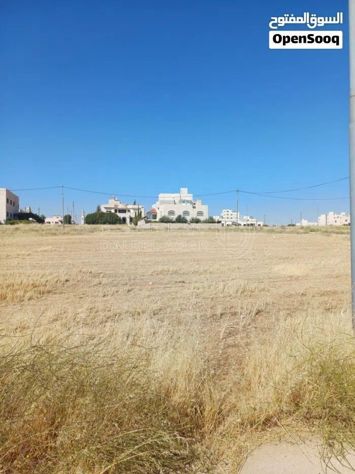 أرض في الطنيب مقابل جامعة الاسراء تبعد عن ش.المطار ٣٠٠ م - 92,000 دأ - صورة 1