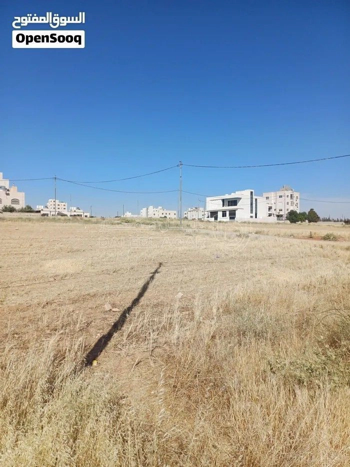 أرض في الطنيب مقابل جامعة الاسراء تبعد عن ش.المطار ٣٠٠ م - 92,000 دأ - صورة 1