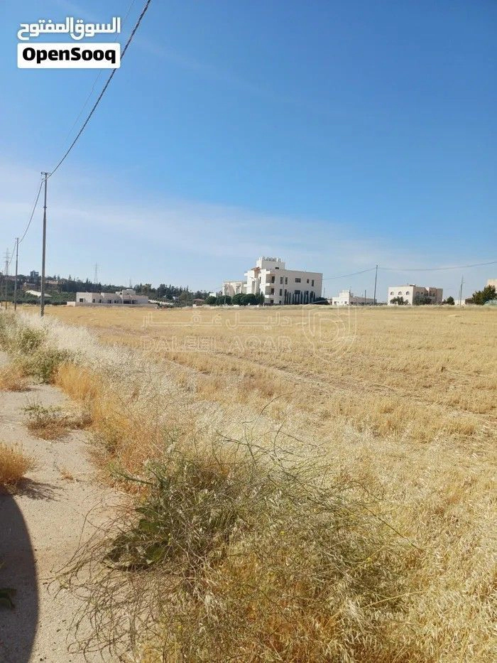 أرض في الطنيب مقابل جامعة الاسراء تبعد عن ش.المطار ٣٠٠ م - 92,000 دأ - صورة 1