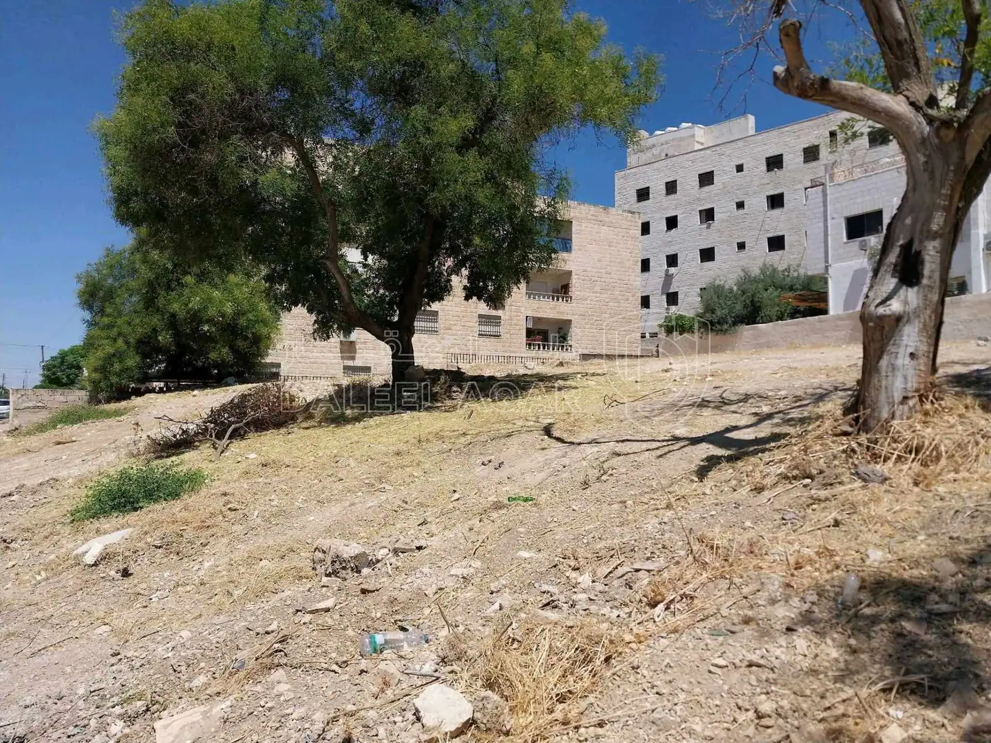 أرض في مرج الحمام ، ٣٠٠ متر عن دوار الدلة - 400,000 دأ - صورة 2