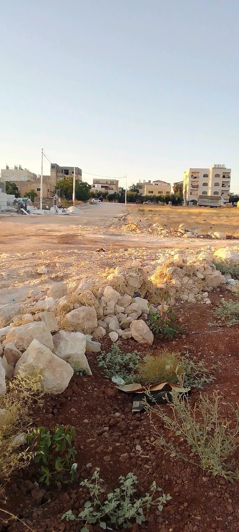 أرض في ارض للبيع  - 75,555 دأ - صورة 1