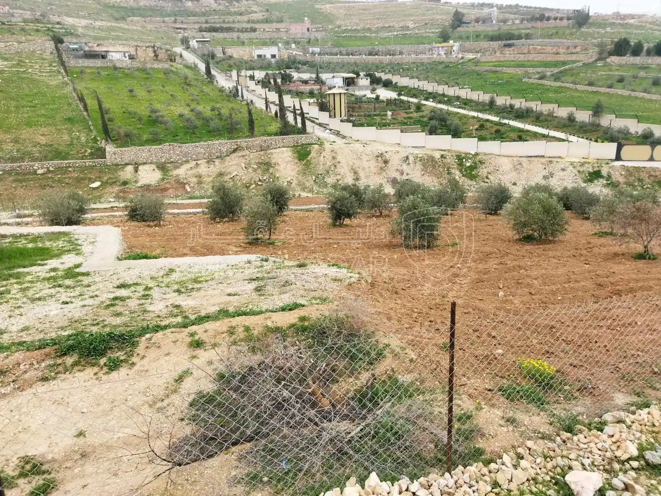 أرض في بلعما  - 40,000 دأ - صورة 1