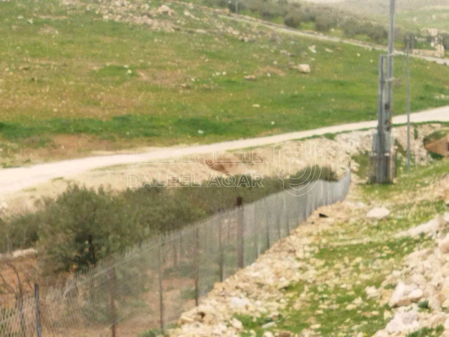 أرض في بلعما  - 40,000 دأ - صورة 1