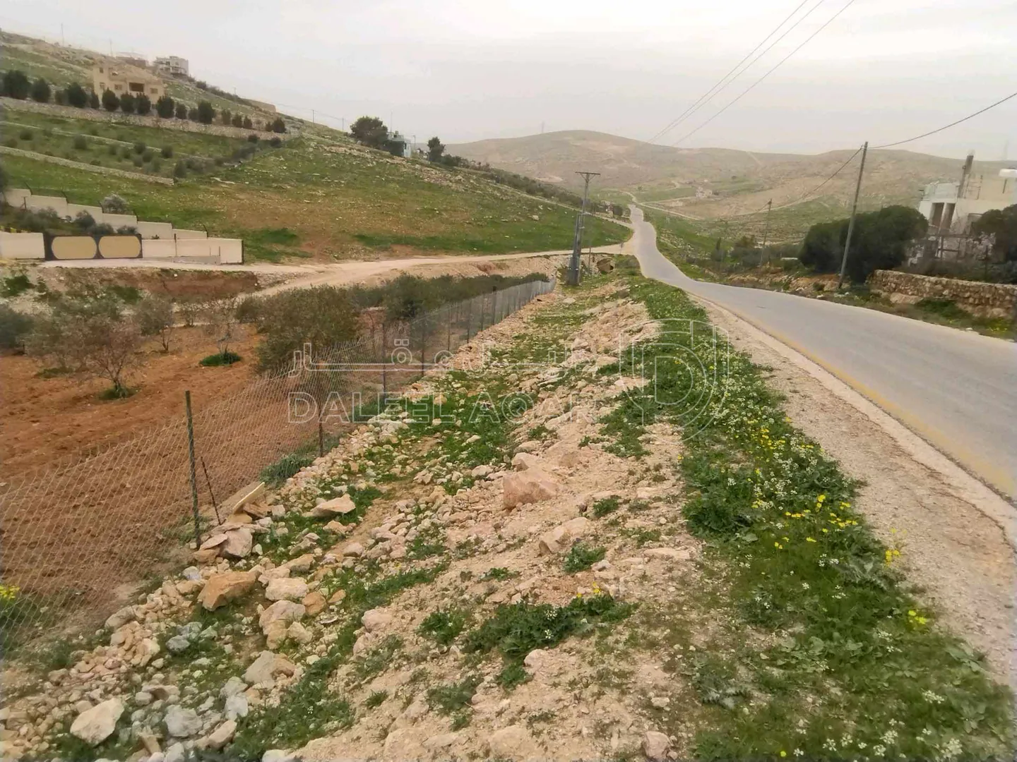 أرض في بلعما  - 40,000 دأ - صورة 1