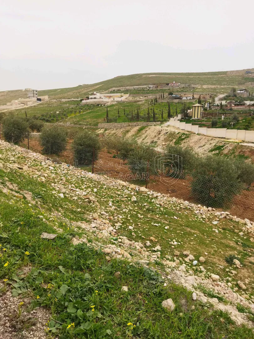 أرض في بلعما  - 40,000 دأ - صورة 1