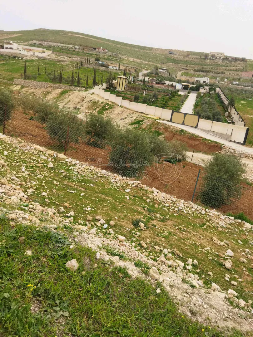 أرض في بلعما  - 40,000 دأ - صورة 1