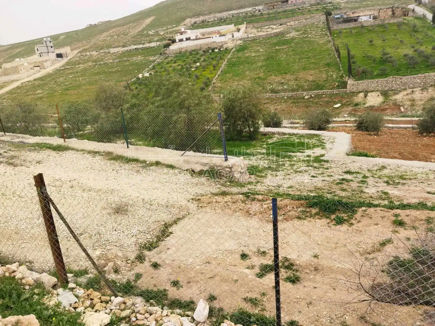 أرض في بلعما  - 40,000 دأ - صورة 1