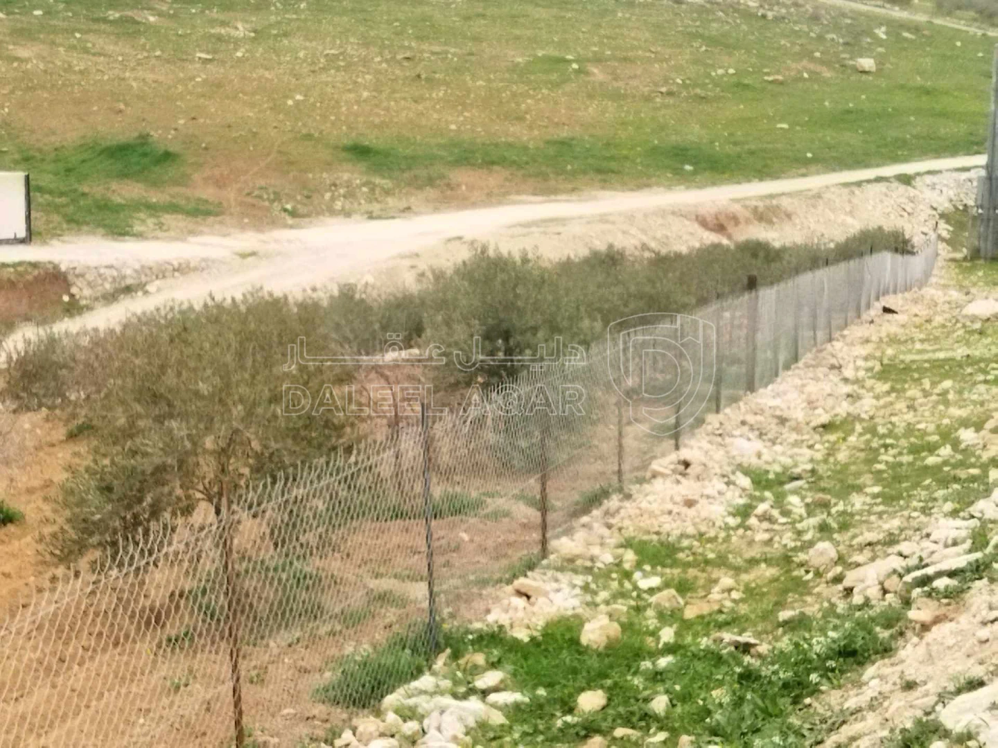 أرض في بلعما  - 40,000 دأ - صورة 1