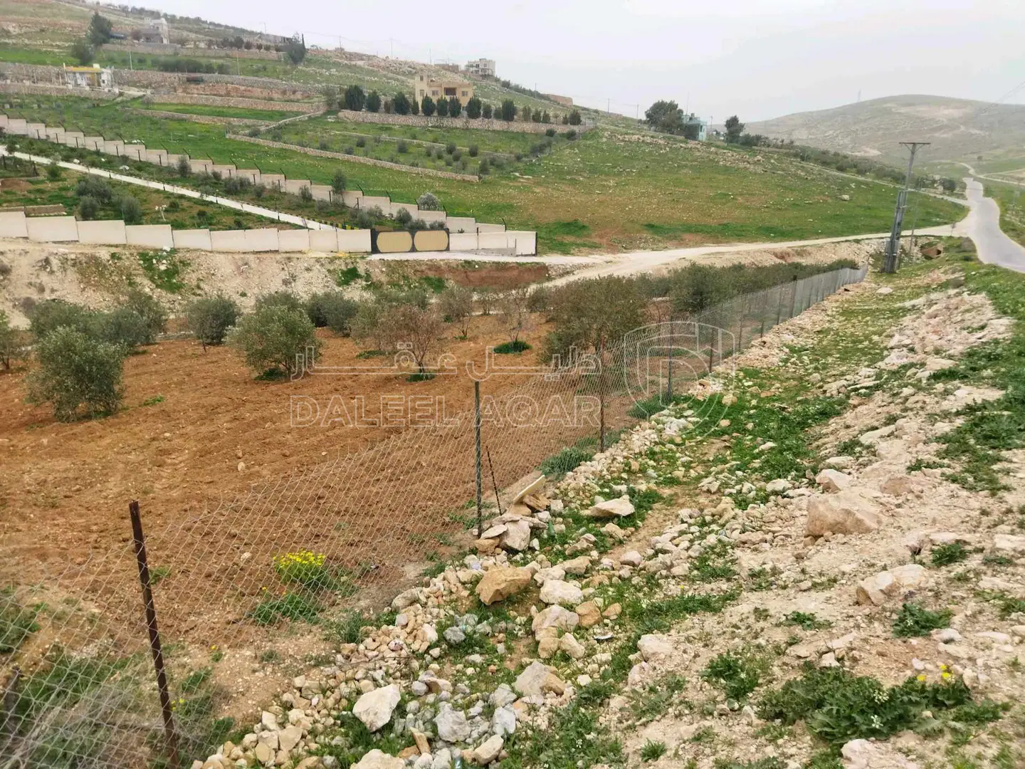 أرض في بلعما  - 40,000 دأ - صورة 1