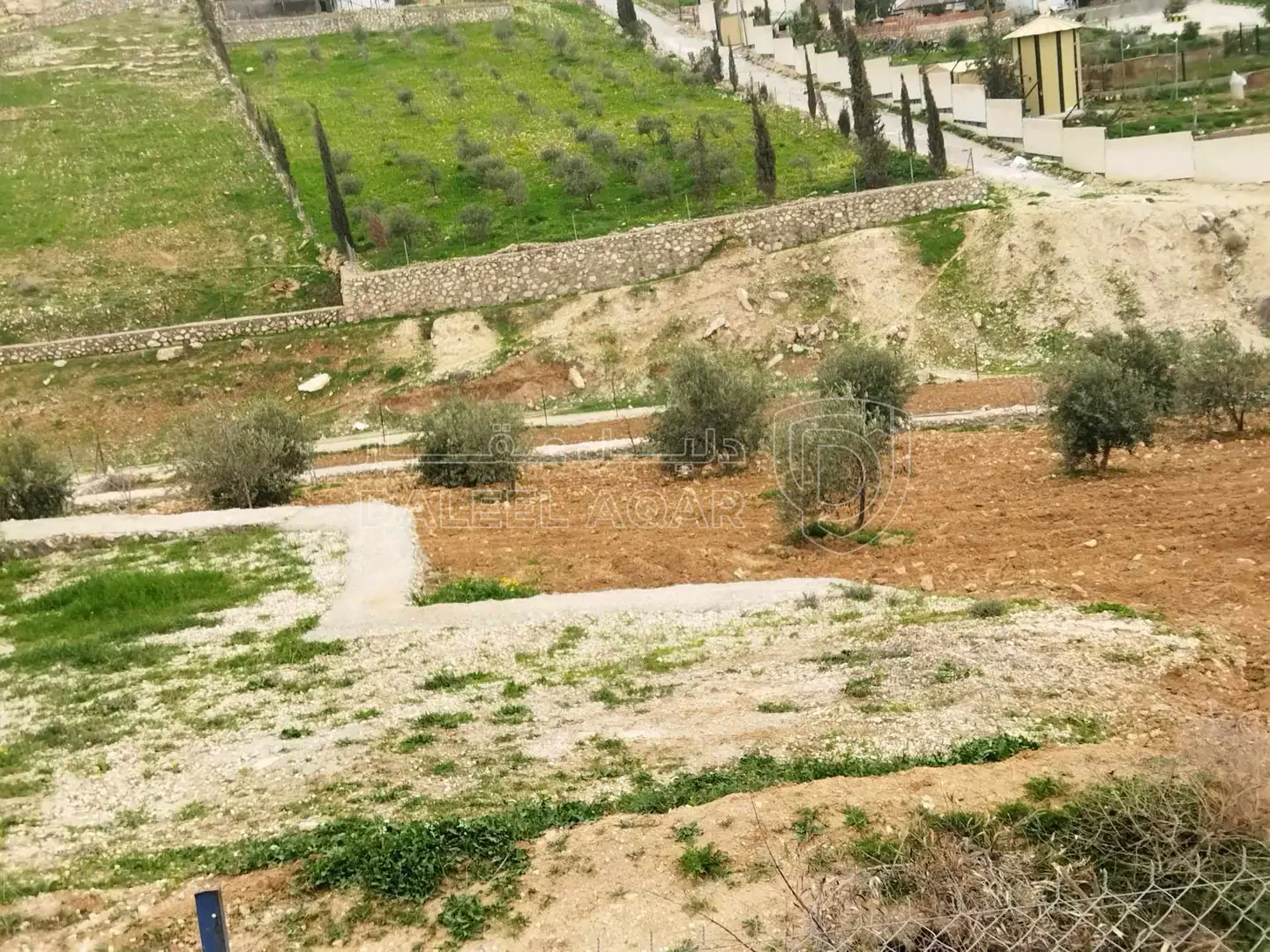 أرض في بلعما  - 40,000 دأ - صورة 1