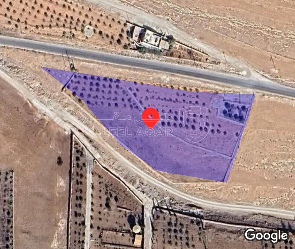 أرض في بلعما  - 40,000 دأ - صورة 1