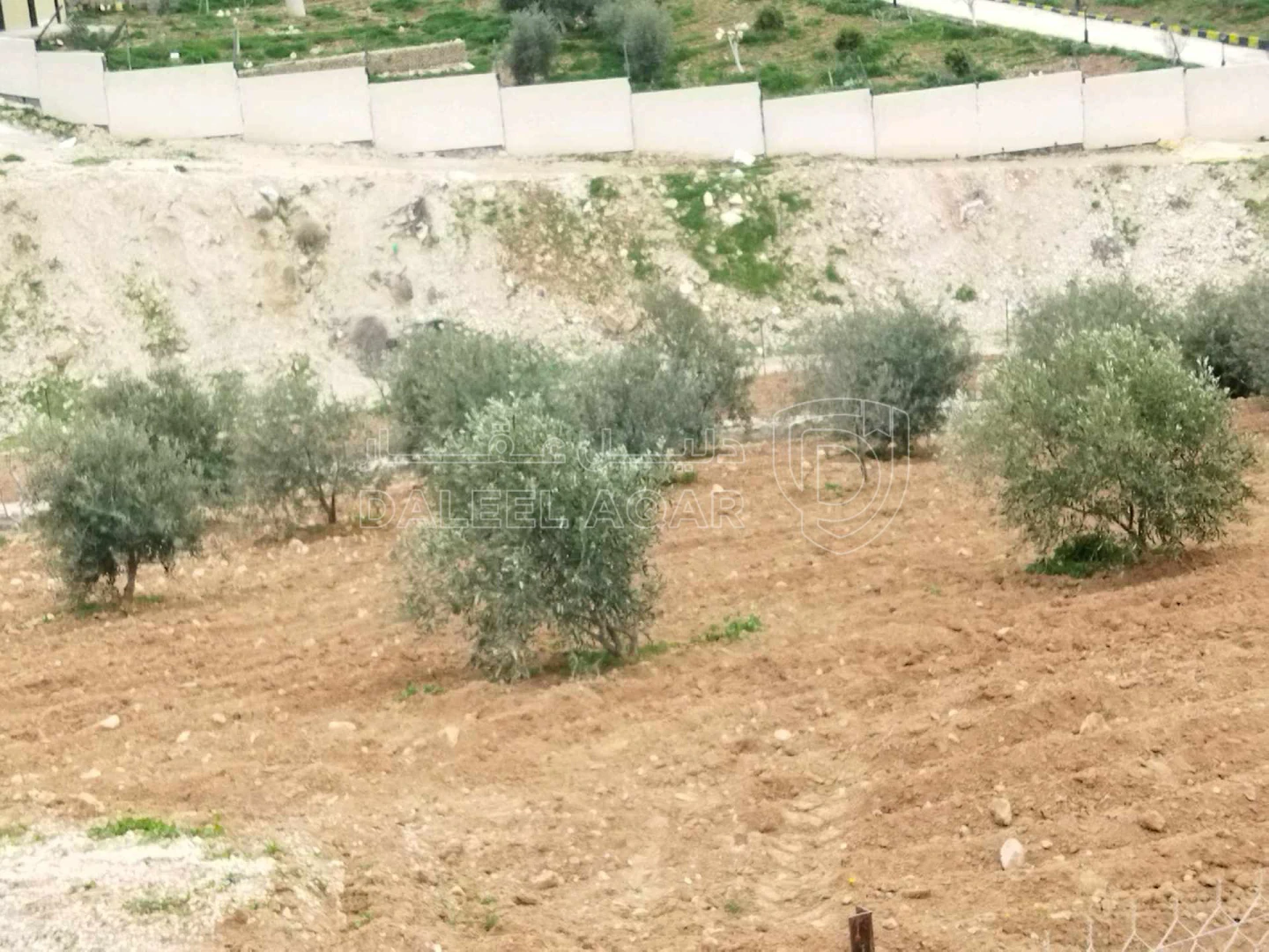 أرض في بلعما  - 40,000 دأ - صورة 1