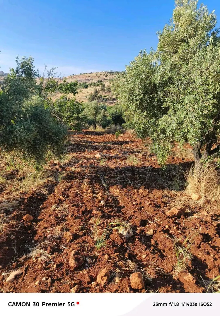 أرض في نزول وادي الدبادب الطريق الواصل بين صخره والنعيمه - 40,000 دأ - صورة 1