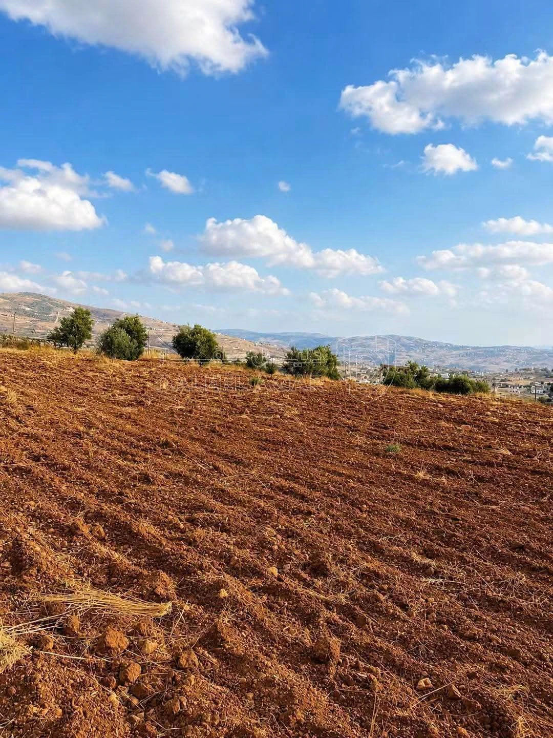 أرض في أرض للبيع في جرش حوض وادي الميته - 40,000 دأ - صورة 11