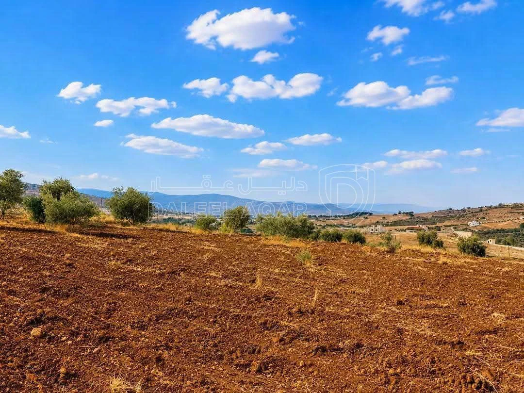 أرض في أرض للبيع في جرش حوض وادي الميته - 40,000 دأ - صورة 6