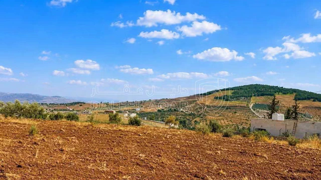 أرض في أرض للبيع في جرش حوض وادي الميته - 40,000 دأ - صورة NaN
