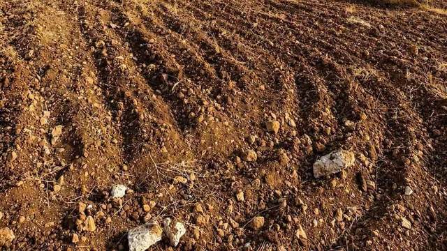أرض في أرض للبيع في جرش حوض وادي الميته - 40,000 دأ - صورة NaN