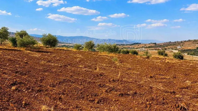 أرض في أرض للبيع في جرش حوض وادي الميته - 40,000 دأ - صورة NaN