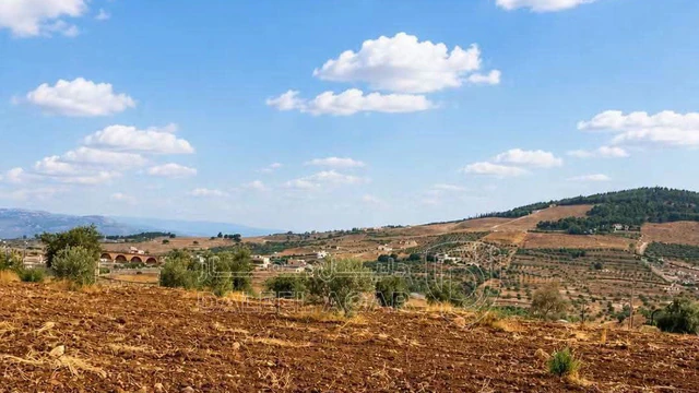 أرض في أرض للبيع في جرش حوض وادي الميته - 40,000 دأ - صورة NaN