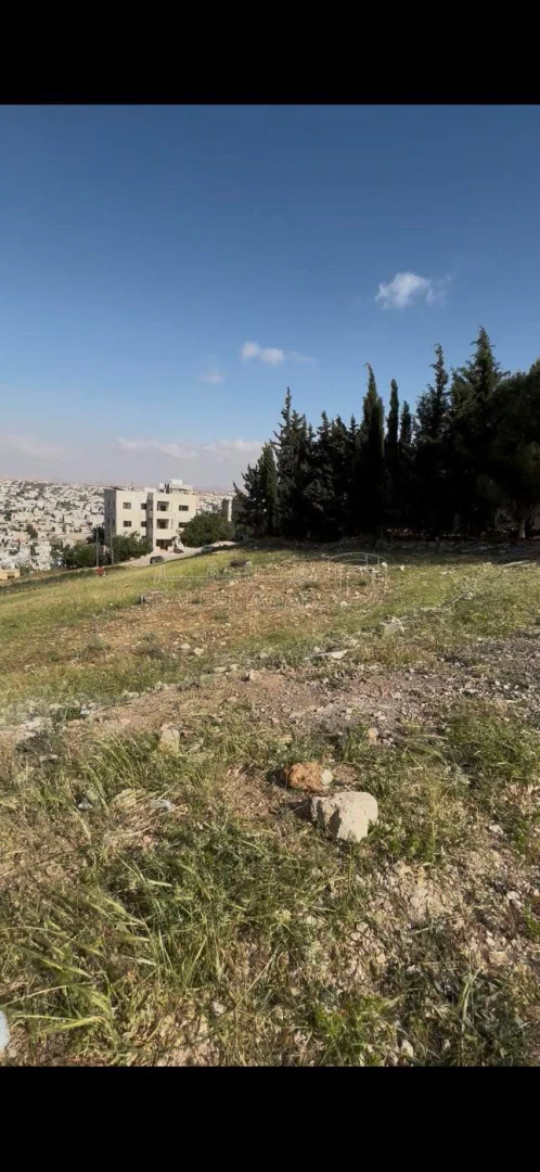 أرض في اربد- الحصن جنوب مستشفى ايدون  - 130,000 دأ - صورة 1