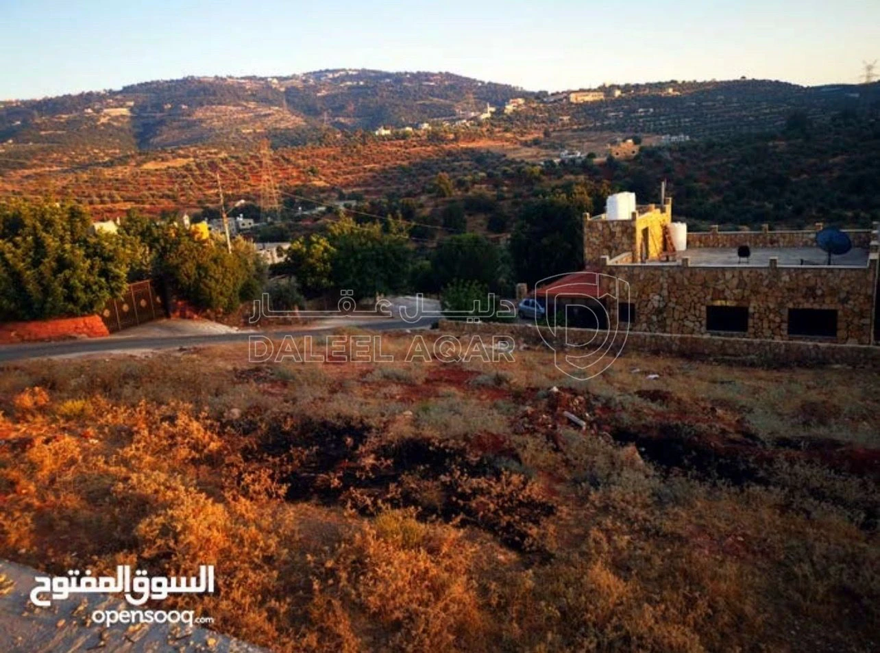 أرض في حي الزهراء-إسكان المهندسين-قرب مطعم شاكر  - 38,000 دأ - صورة 1