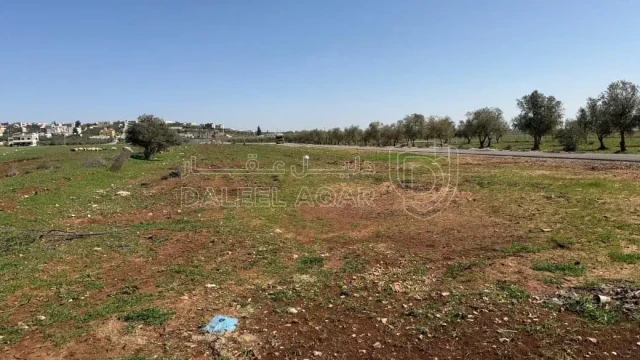 أرض - عمان ناعور مادبا الغربي خلف بلدية حسبان - 69000 دأ