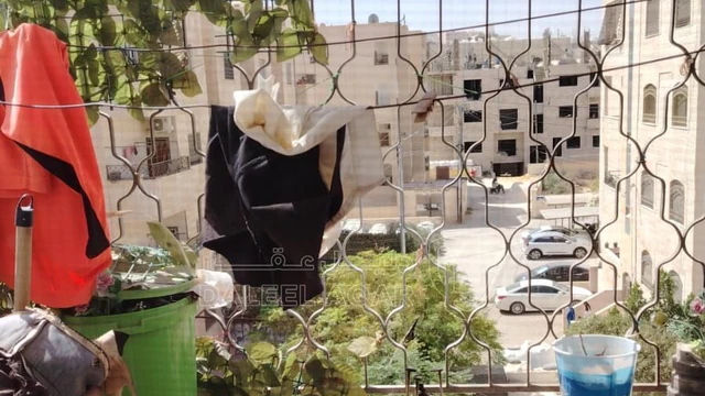 شقة في الزرقاء البتراوي شارع الفلاتر  - 37,000 دأ - صورة NaN