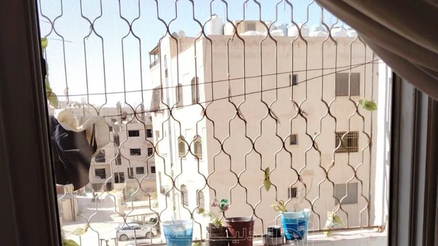 شقة في الزرقاء البتراوي شارع الفلاتر  - 37,000 دأ - صورة NaN