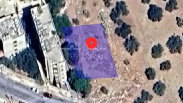 أرض - ارض بالقويسمة ام نوارة من المالك مباشرة - 32000 دأ