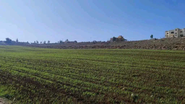 أرض في مادبا الجامعه الامريكيا  - 70,000 دأ - صورة 1