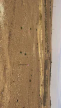 أرض في  قطع اراضي في  الـجيزة - أرينبة الشرقيــة   - 6,500 دأ - صورة NaN