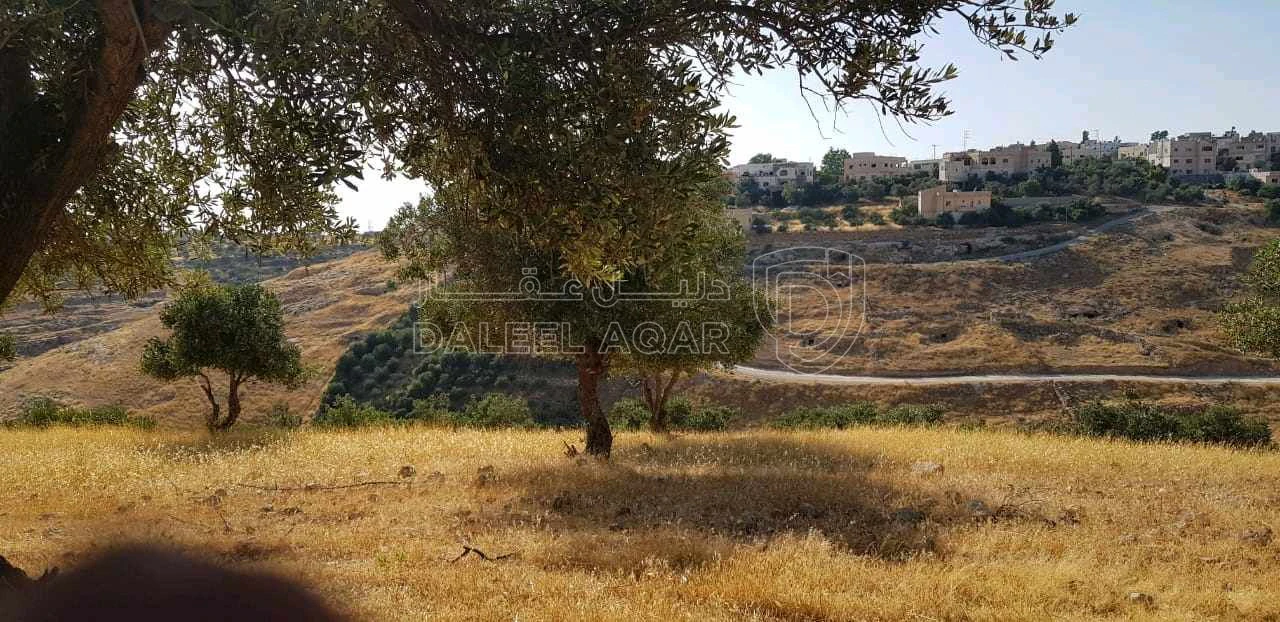 أرض في ناعور، الحسبان، الخربة، قرب بلدية الحسبان - 29,000 دأ - صورة 1