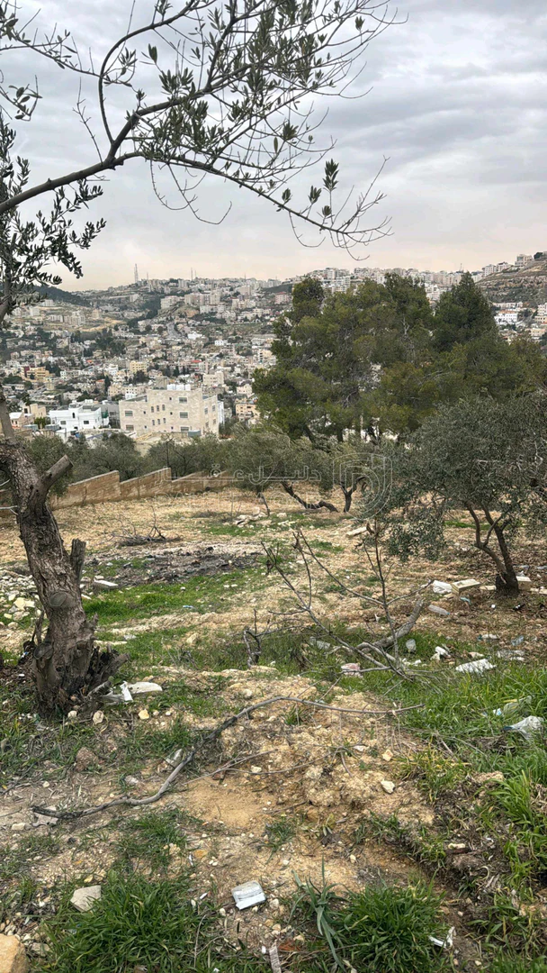 أرض في عمان ناعور - 85,000 دأ - صورة 1