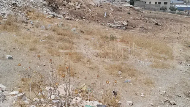 أرض في عمان المستندة الطبقة الشرقية - 30,000 دأ - صورة 1