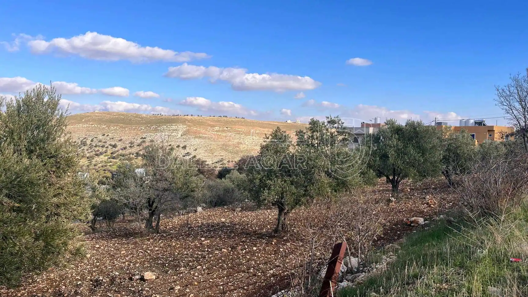 أرض في قطعة ارض مميزه للبيع السلط المضري - 40,000 دأ - صورة 1