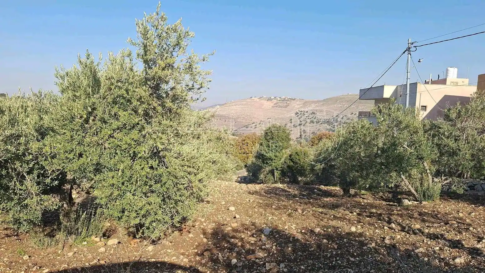 أرض في قطعة ارض مميزه للبيع السلط المضري - 40,000 دأ - صورة 1