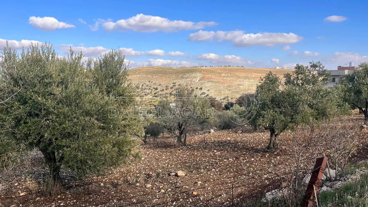 أرض في قطعة ارض مميزه للبيع السلط المضري - 40,000 دأ - صورة 1