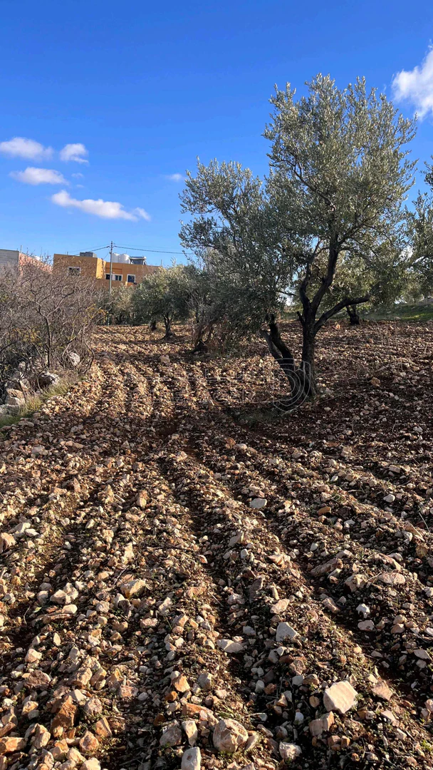 أرض في قطعة ارض مميزه للبيع السلط المضري - 40,000 دأ - صورة 1