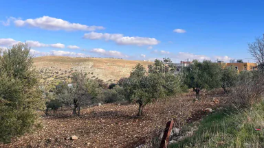 أرض في قطعة ارض مميزه للبيع السلط المضري - 40,000 دأ - صورة NaN