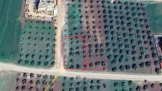 أرض - حواره-شارع بتراء-اربد - 120000 دأ