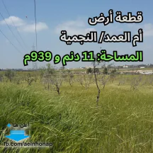 أرض - أم العمد - تبعد 800م عن شارع المطار - 417865 دأ