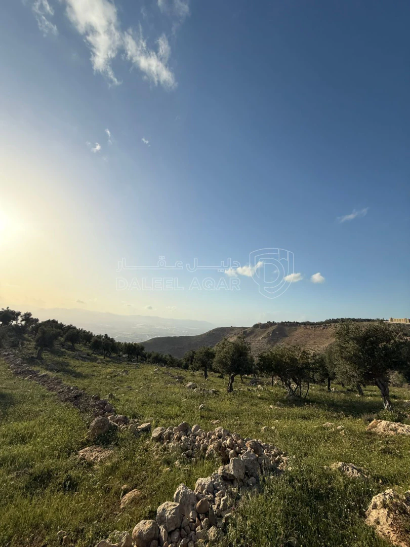أرض في خربة الوهادنة - 82,000 دأ - صورة 1