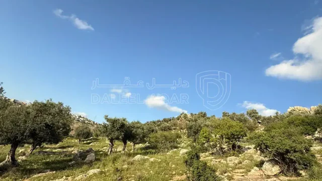 أرض في خربة الوهادنة - 75,000 دأ - صورة 1