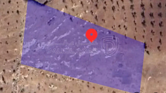 أرض في اربد  المغير  حوض زيراقون  - 12,000 دأ - صورة 1